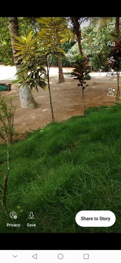 Scorpion Hill Lodge Busua Exterior foto