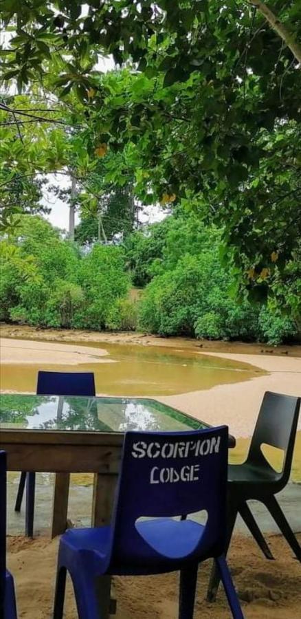 Scorpion Hill Lodge Busua Exterior foto