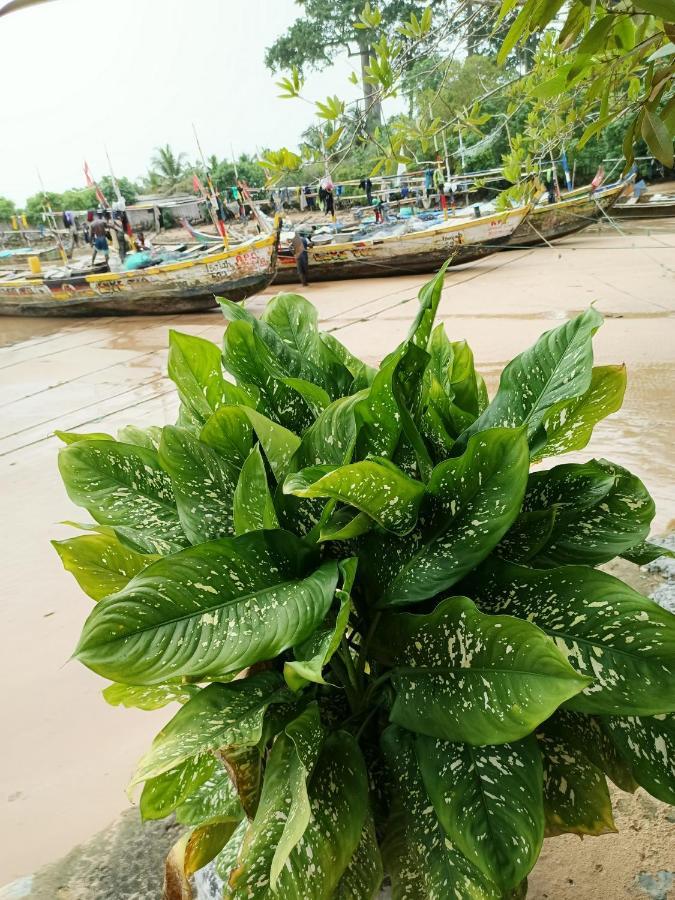 Scorpion Hill Lodge Busua Exterior foto
