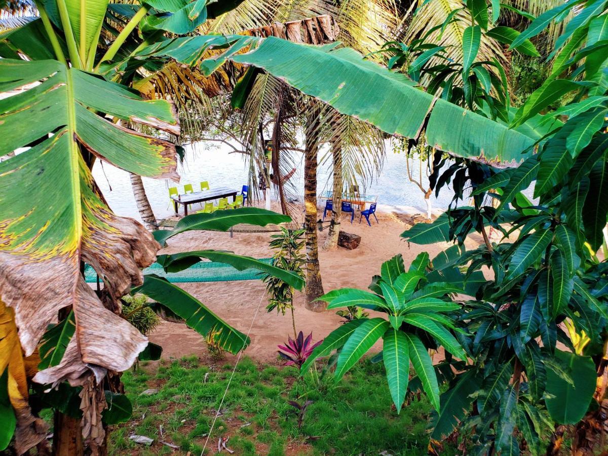 Scorpion Hill Lodge Busua Exterior foto